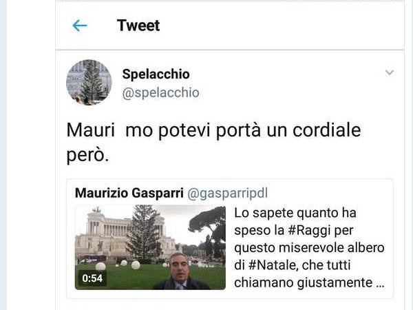 spelacchio
