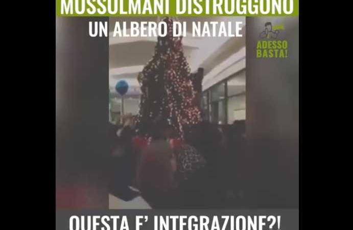 bufala