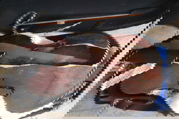 «Alitalia odia i musicisti»: distrutta viola del XVII secolo, maltrattata tra i bagagli