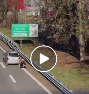 Prega Allah in autostrada scatenando il panico. Italiano, aveva auto in panne | VIDEO article-post