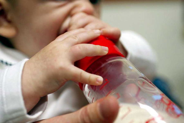 L’Efsa assolve l’olio di palma: «Non ci sono rischi per la maggioranza dei consumatori»