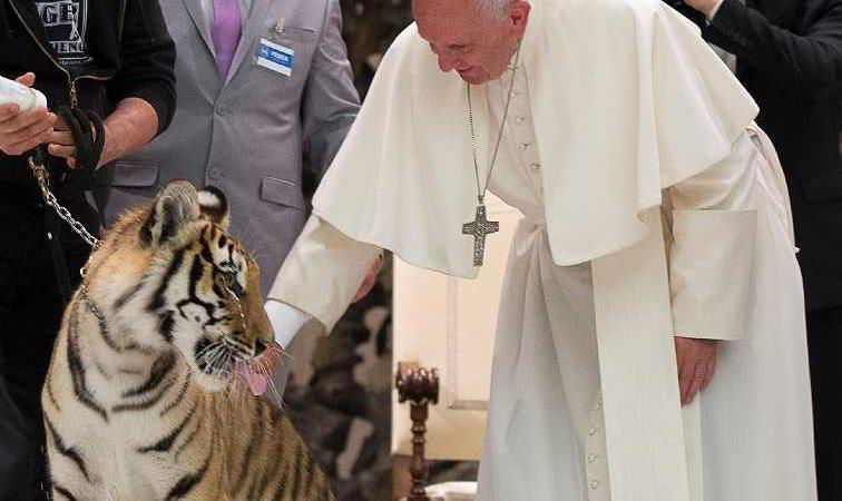 papa francesco