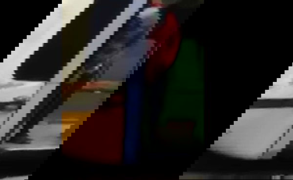 Il delirante attacco di Silvia Sardone a Milano e ai migranti per un uomo che orina sul tram | VIDEO