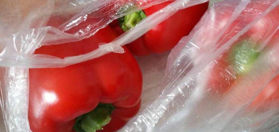 sacchetti di plastica