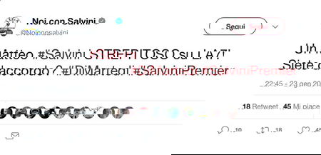 I tweet pro-Salvini che inondano il web sono prodotti da un’applicazione (e non hanno niente di etico) article-post