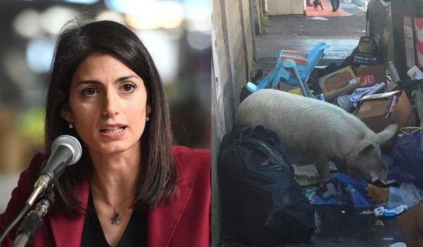 La Raggi ha risolto il mistero del maiale tra i rifiuti a Roma: «È dei Casamonica»