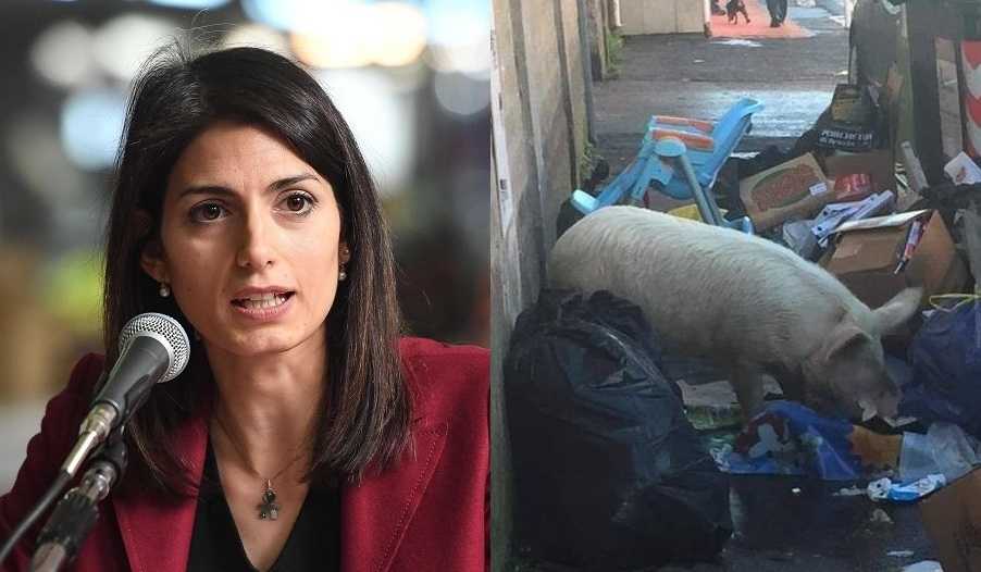 La Raggi ha risolto il mistero del maiale tra i rifiuti a Roma: «È dei Casamonica» article-post