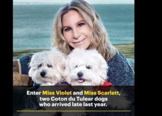 Barbra Streisand
