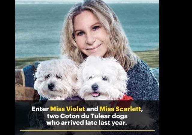 Barbra Streisand