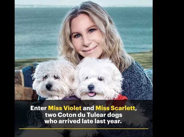 Barbra Streisand e la foto di Variety con i cani clonati