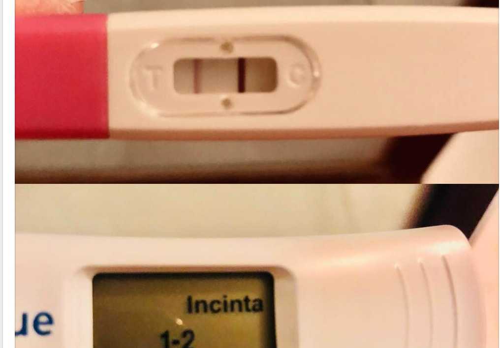 La moglie di Mario Adinolfi aspetta un altro bambino, lui: «Signore, spero sia maschio. Ho fatto come i militari che hanno un giorno di licenza» article-post
