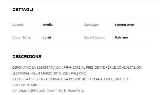 elezioni