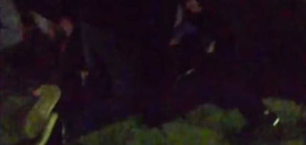 I centri sociali di Palermo minimizzano l’azione violenta contro Massimo Ursino