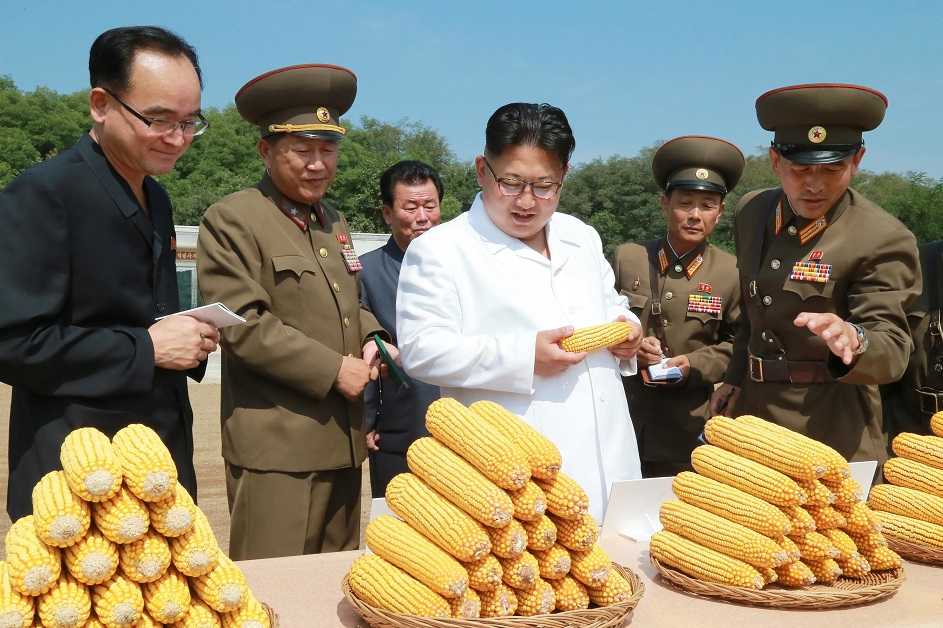 Ma quali Olimpiadi della pace: la Nord Corea non smette di fare hacking article-post