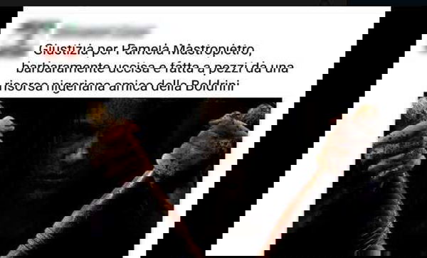 La stupidaggine non si ferma mai: online un altro fotomontaggio choc della Boldrini