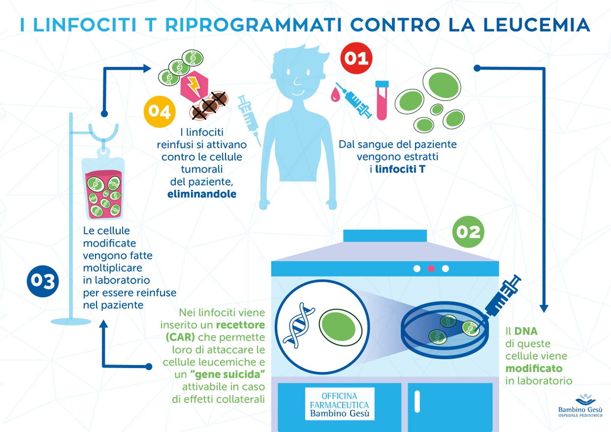 Il miracolo del Bambino Gesù article-post