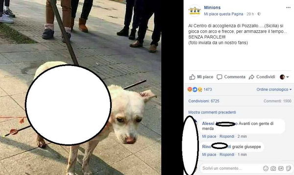 Si parla tanto di Cambridge Analytica ma la gente condivide bufale come questa