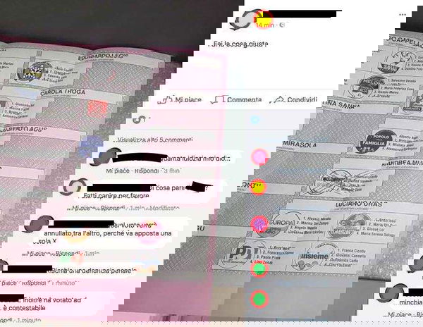 Un elettore M5S posta su Facebook la sua scheda dalla Sardegna: con cinque X