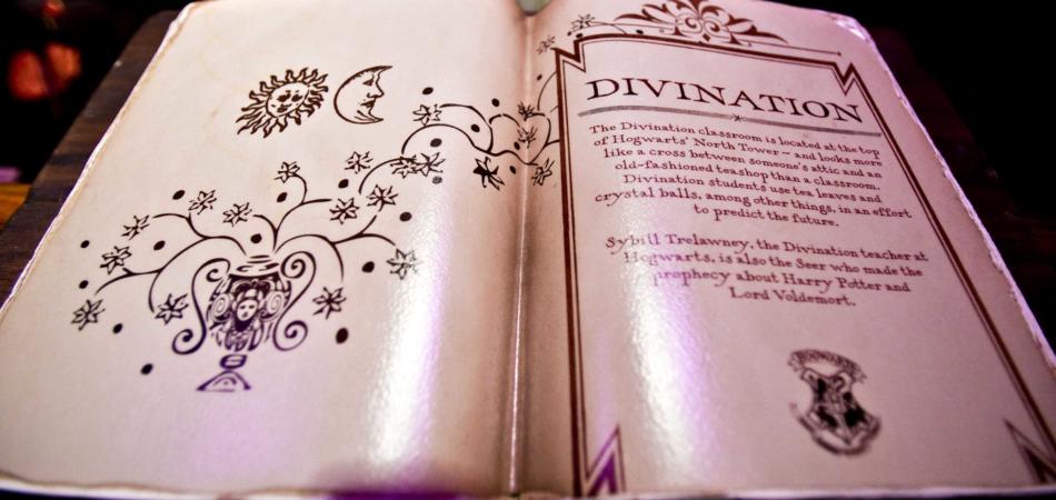 ladro libri Harry Potter