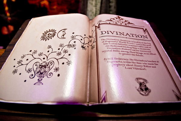 Il ladro di libri italiano che ha rubato la rarissima prima edizione di Harry Potter e il calice di fuoco