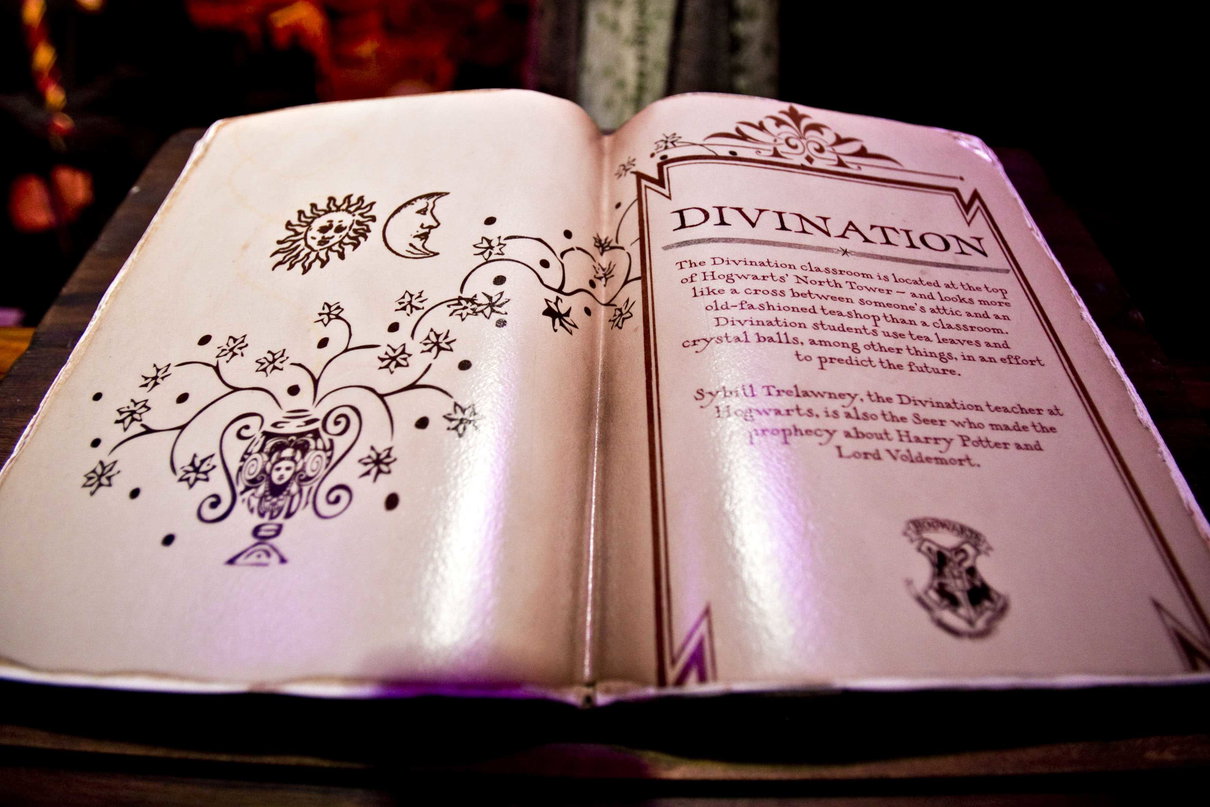 Il ladro di libri italiano che ha rubato la rarissima prima edizione di Harry Potter e il calice di fuoco article-post