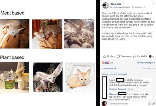Sonia Sae, l’attivista vegan nella bufera per la dieta della sua volpe