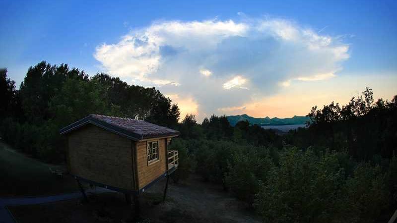 albergo albero piemonte