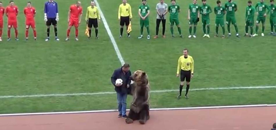 orso Russia 2018