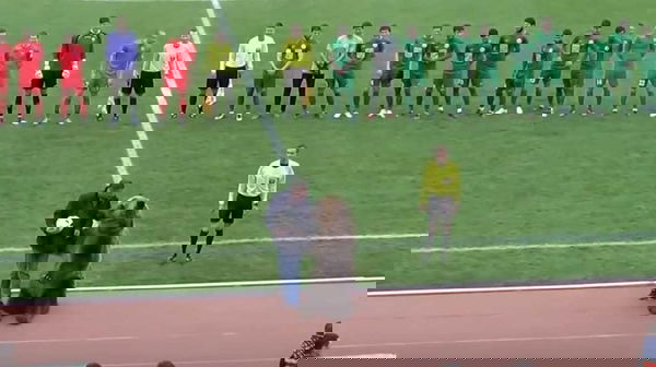 Un orso (vero) non può fare la mascotte di Russia 2018 | VIDEO