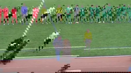 Un orso (vero) non può fare la mascotte di Russia 2018 | VIDEO article-post