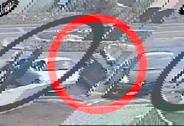 Che fine ha fatto il servizio de Le Iene sulla senatrice M5S «guarita» dopo la candidatura?