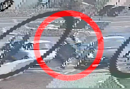 Che fine ha fatto il servizio de Le Iene sulla senatrice M5S «guarita» dopo la candidatura? article-post