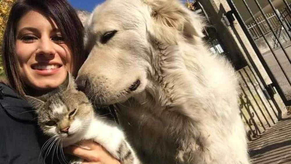 Hanno liberato il cane Miro. La padrona Eva: «Grazie a voi è a casa» article-post