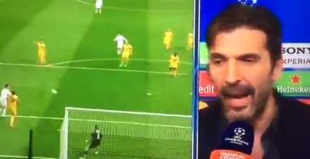 buffon arbitro