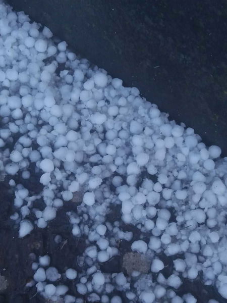 L’Alto Lazio colpito dalla grandine: chicchi grandi quanto noci | GALLERY article-post