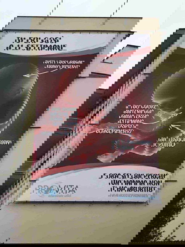 I Pro Vita contro l’aborto e la loro conferenza stampa in Senato