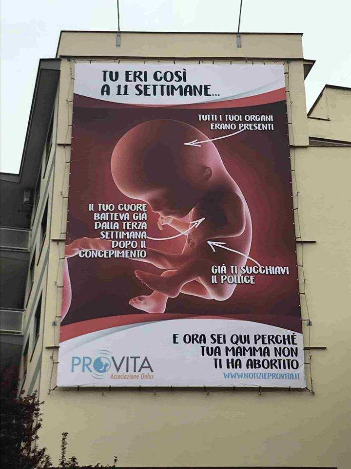 manifesto provita