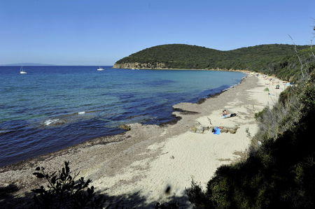 Bambino si allontana dal resto della classe in gita e si perde nel bosco article-post