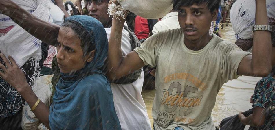 Rohingya