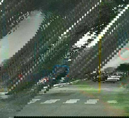 Roma, nuovo autobus in fiamme: questa volta in viale di Castel Porziano article-post