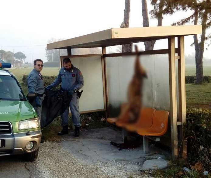article-post