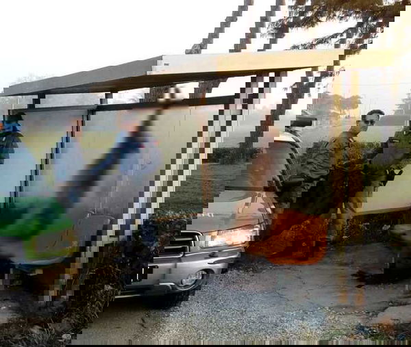 Rimini, lupo ucciso e appeso alla fermata del bus: due denunciati