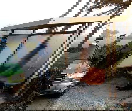 Rimini, lupo ucciso e appeso alla fermata del bus: due denunciati article-post