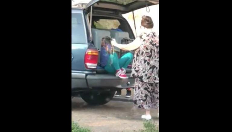 Donna arrestata per aver portato in giro le sue nipoti all’interno di gabbie per cani