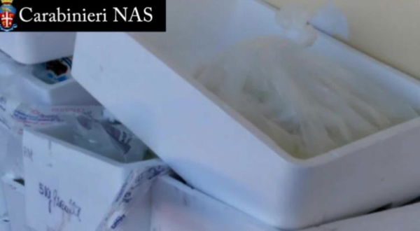 Firenze, due aghi affilati sono stati ritrovati in alcune mozzarelle