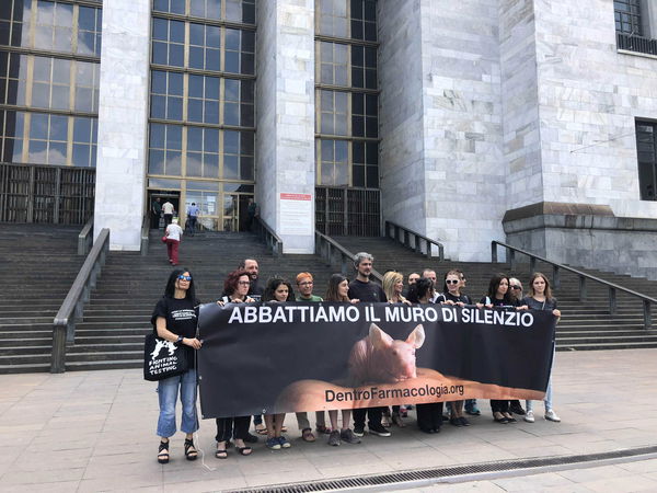 Green Hill, gli attivisti che liberarono le cavie sono stati condannati a un anno e mezzo