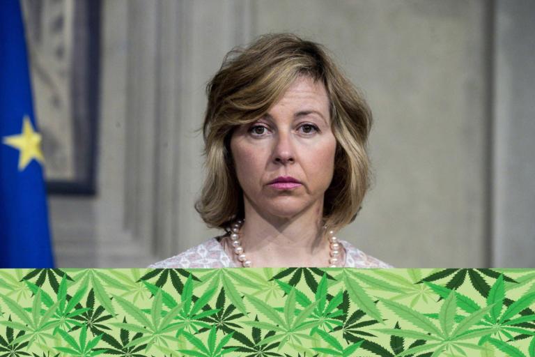 Cannabis light da bloccare secondo il Consiglio superiore della sanità: e ora che fa il ministro Grillo?