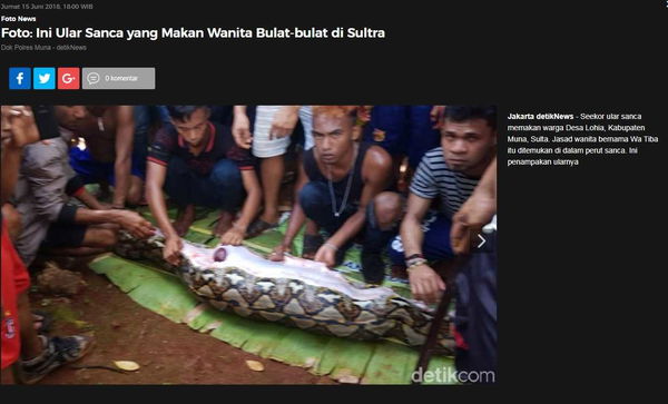 Indonesia: donna ingoiata da un pitone. Il caso sull’isola Sulawesi | FOTO