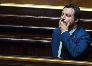 salvini