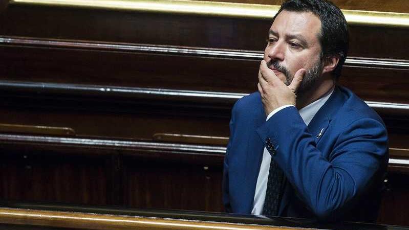 salvini